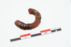 Foto von Bernsteinringperle (NHMW-PRAE-025131)